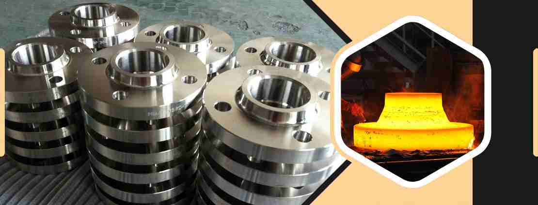 Duplex Steel S32205 Flanges