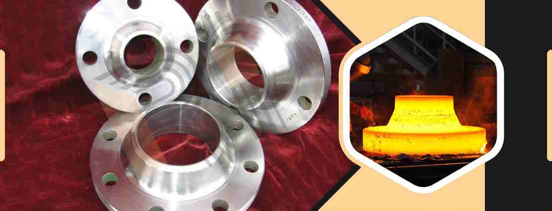 Hastelloy C22 Flanges
